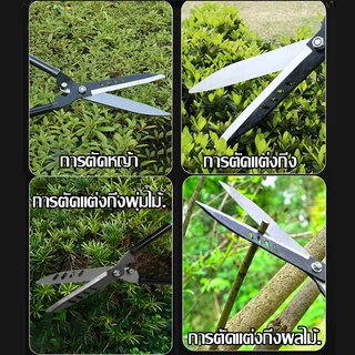 IN กรรไกรตัดหญ้า กรรไกรตัดแต่งพุ่มไม้ กรรไกรตัดกิ่งไม้ ตัดกิ่งไม้ ตกแต่งสวน