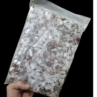 ปลาหลังเขียวหั่นชิ้นแช่แข็ง✨ส่งด่วน✨อาหารปลากินเนื้อ สัตว์กิ…