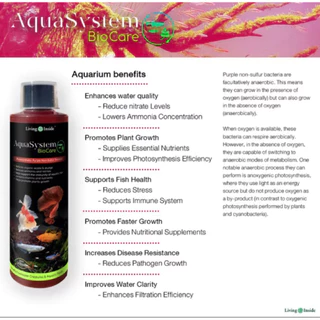 Aquasystem Biocare 250ml จุลินทรีย์ดูแลสมดุลในระบบน้ำ อ่างปลา ผสมสารอาหารและแร่ธาตุสำหรับบำรุงต้นไม้น้ำ Living Inside