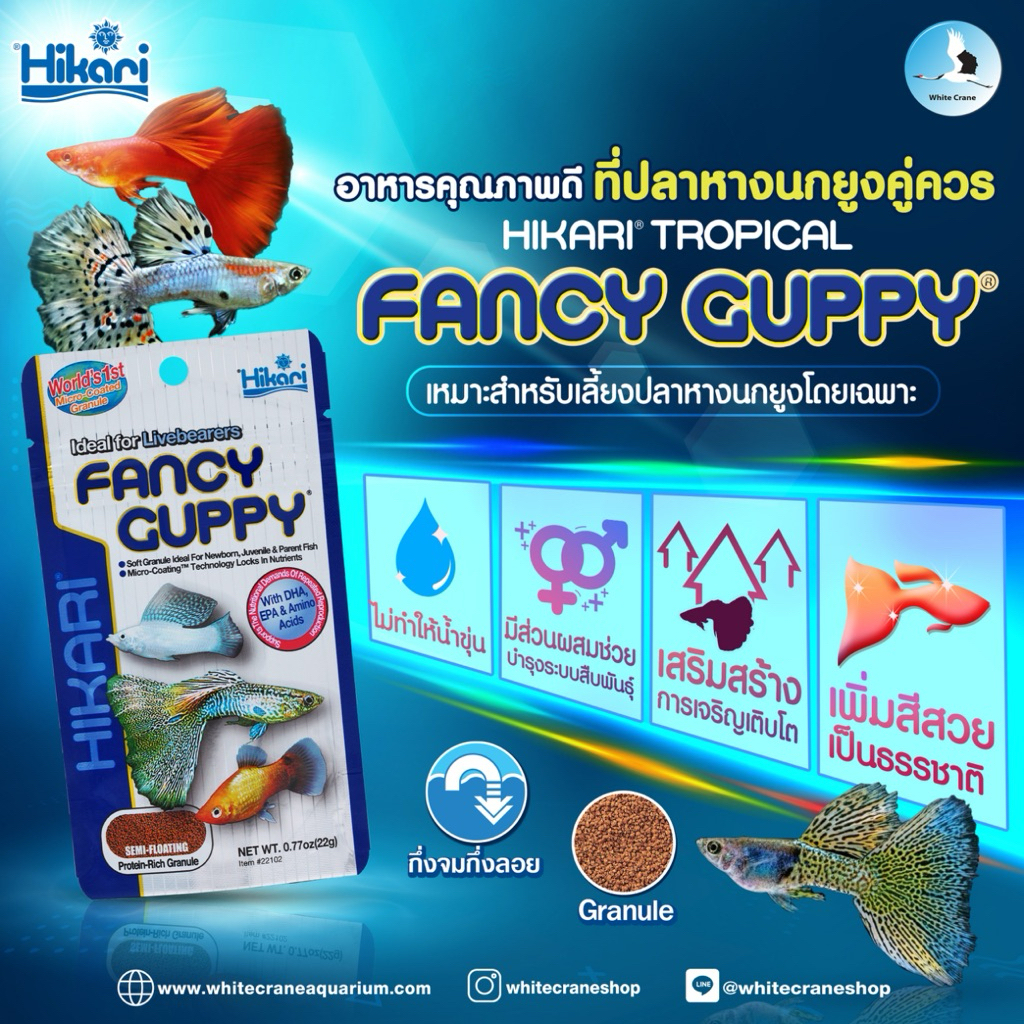 Hikari Tropical FANCY GUPPY 22g. อาหารสำหรับปลาหางนกยูงและปลาออกลูกเป็นตัวทุกชนิด