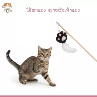 TCS ไม้ตกแมว ลายอุ้งเท้าแมว ของเล่นแมว หลากสไตล์สีสันสดใส