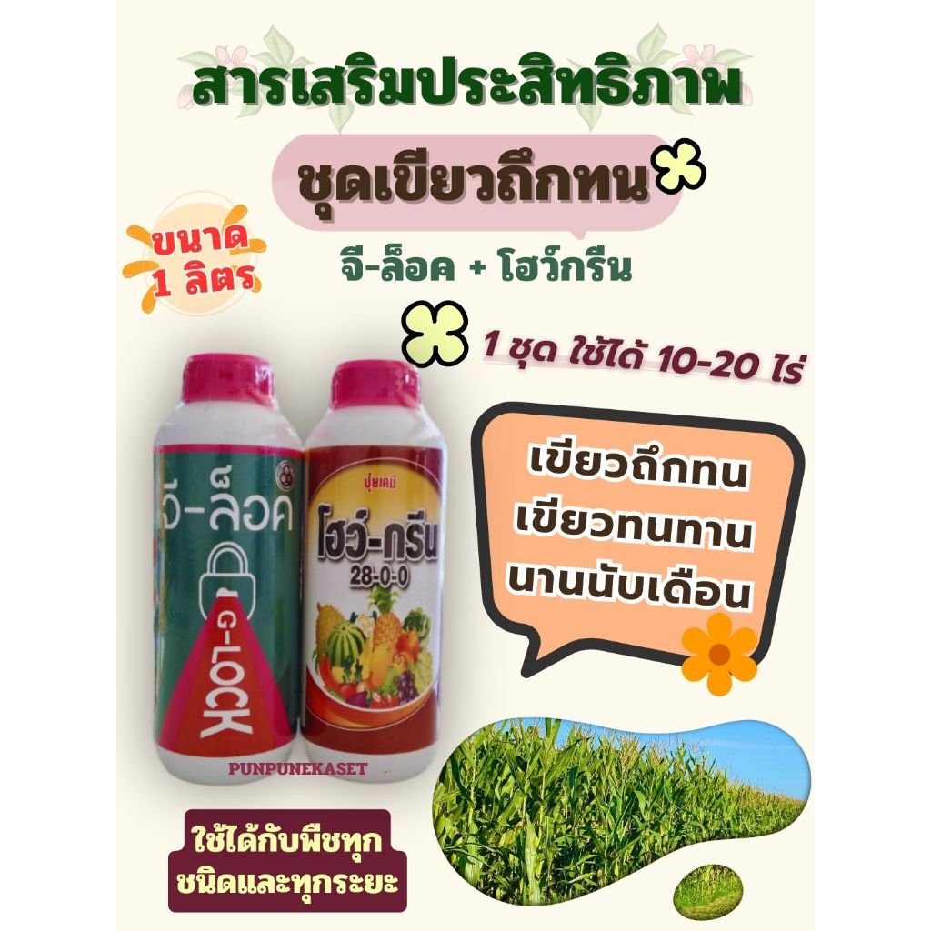 ฮอร์โมน ชุดเขียวถึกทน จีล็อค+โฮว์กรีน ขนาด 1 ลิตร เขียวไว เขียวทน เขียวนาน เร่งโต แตกยอด ใบใหม่