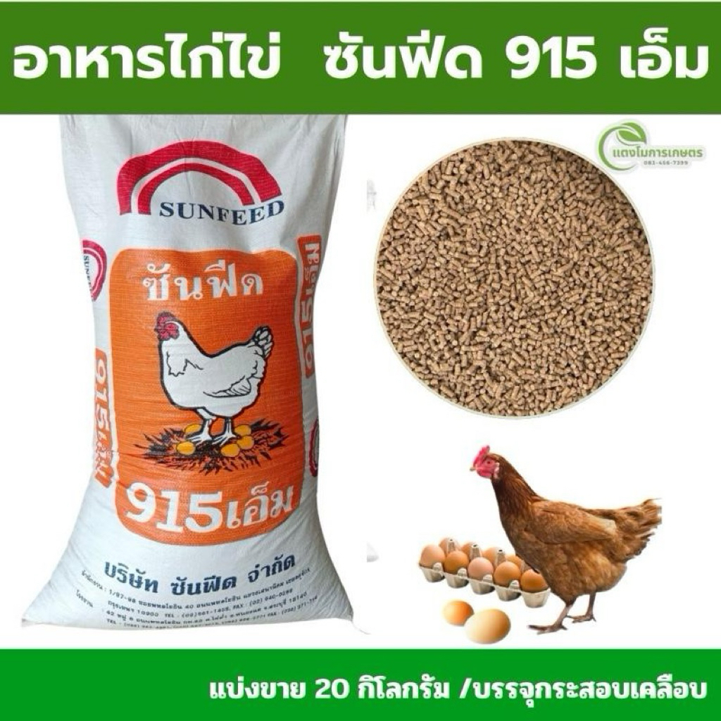 (ตักแบ่งขาย 20 กก) อาหารไก่ไข่ซันฟีด[ 915 เอ็ม] คุ้มมาก! **1ชิ้นต่อ1คำสั่งซื้อ