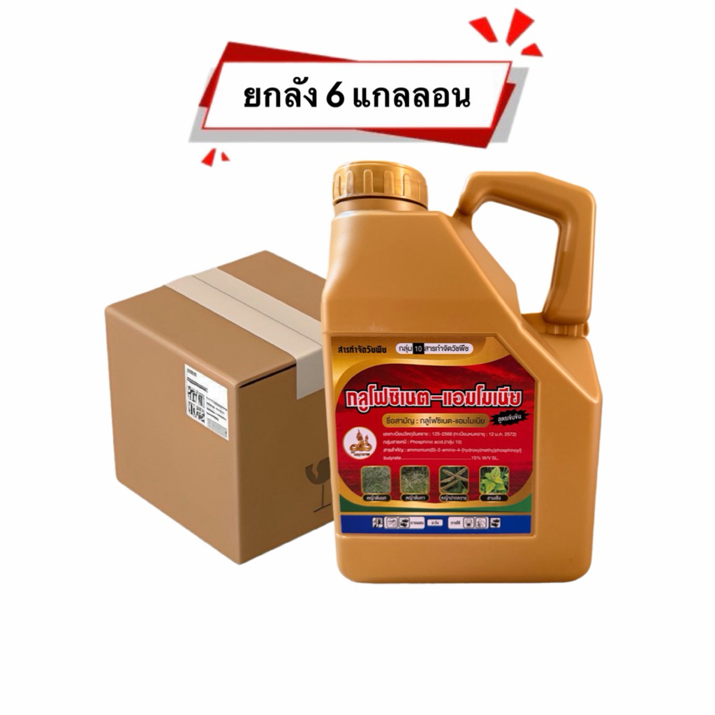 📦ยกลัง กลูโฟซิเนต สูตรเผาไหม้ 4.0ลิตร 6 แกลลอน T