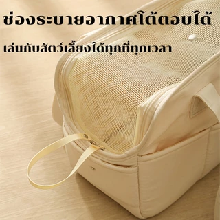 กระเป๋าสัตว์เลี้ยง กระเป๋าพาสุนัขไปเที่ยว ระบายอากาศได้ดี สําหรับสัตว์เลี้ยง สุนัข แมว