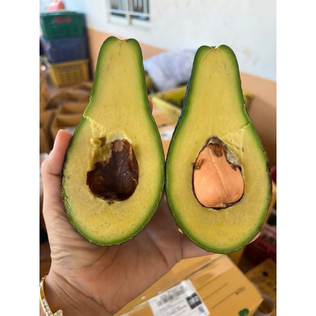 อโวคาโด้พื้นเมืองจำนวน1กิโลเนื้อเเน่นมันเนย