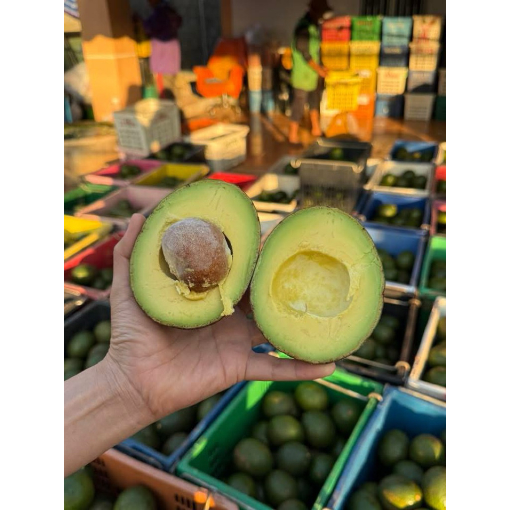 อโวคาโด้พื้นเมืองจำนวน1กิโลเนื้อเเน่นมันเนย - รูปที่ 3