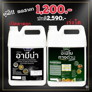 สาหร่ายเปิดตาดอก + อะมิโนทางด่วน  ดอกดก เร่งโต เร่งดอก พืชไร…