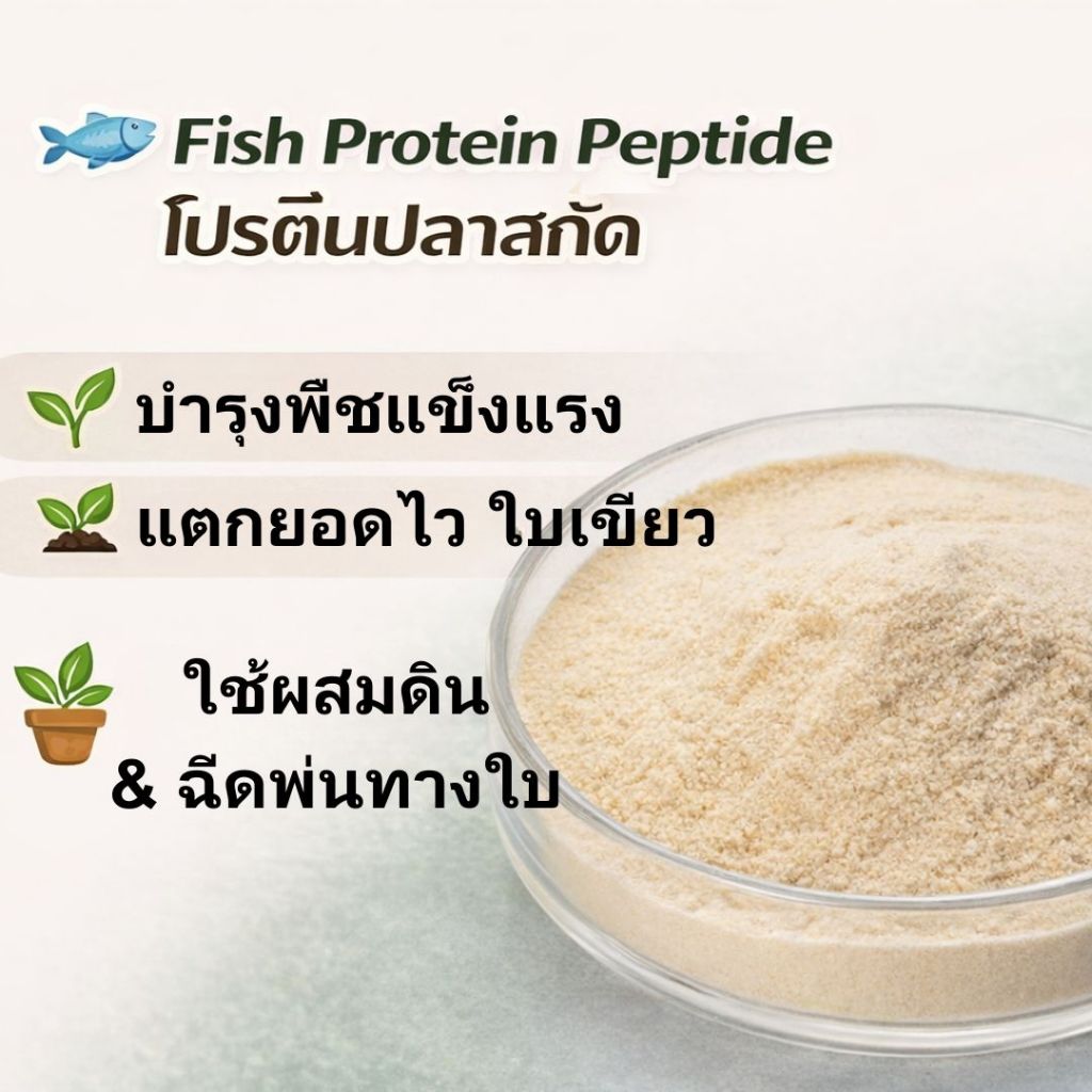 Fish Protein Peptide ปุ๋ยปลารูปแบบผง (100 g)| ปุ๋ยอินทรีย์สำหรับผักใบเขียว | 3–5 กรัม ต่อน้ำ 10 ลิตร