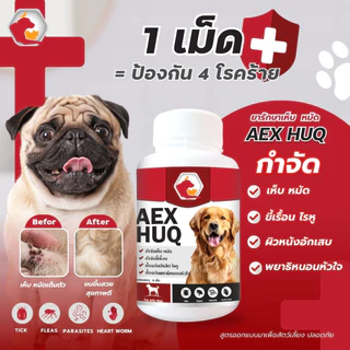 Aexhuq เสริมอาหาร ป้องกันเห็บ หมัด ไร ลดคัน ขนร่วง สูตรสำหรับสุนัข