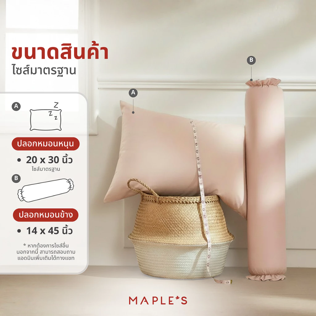 MAPLE S ปลอกหมอน ปลอกหมอนข้าง MicroCotton กันไรฝุ่น thumbnail 3