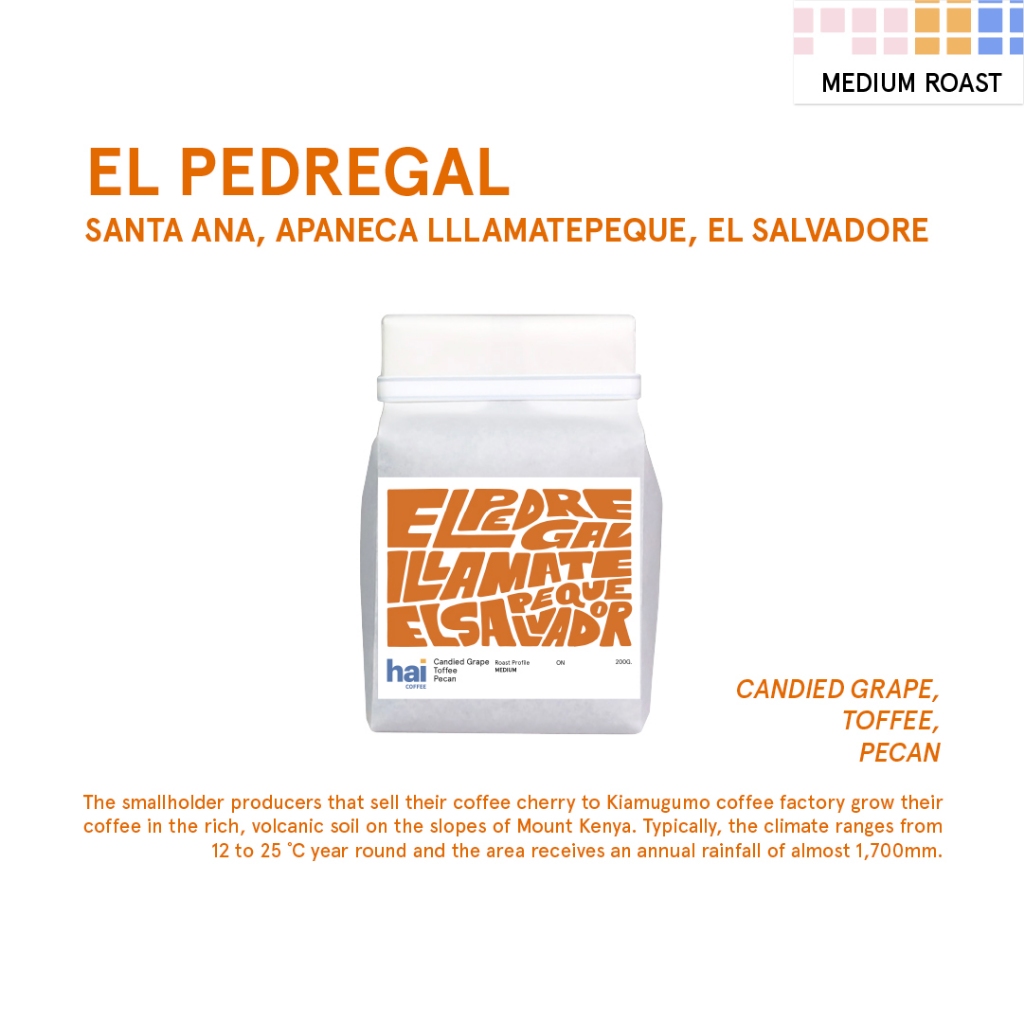 Hai Single Origin EL PEDREGAL, El Salvadore (Medium Roasted) เมล็ดกาแฟคั่วกลาง 200g.