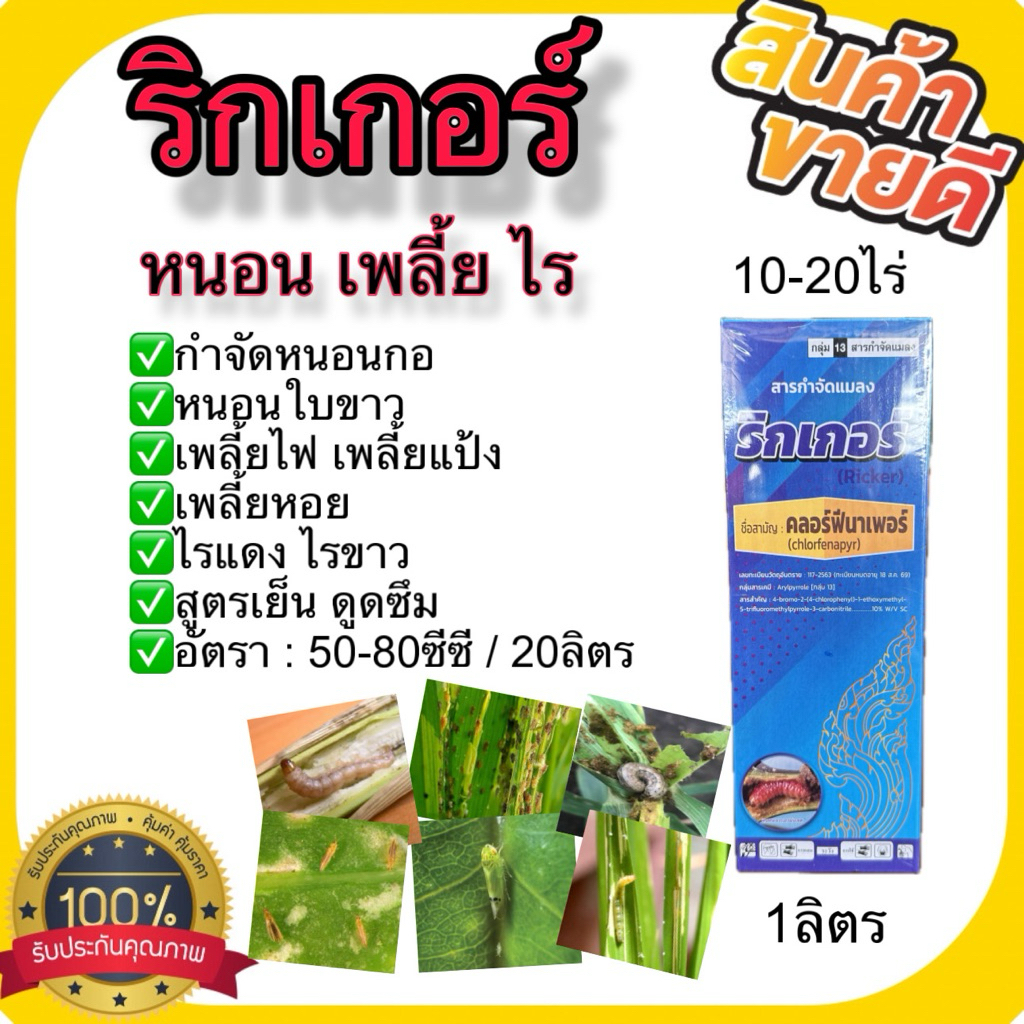 ริกเกอร์ 1ลิตร (คลอร์ฟีนาเพอร์10%sc)ครบจบ! ยาเพลี้ยกระโดด บั่ว ยาหนอนกอ ใบขาว ดูดซึมยาเย็น กำจัดป้องกัน ตัวแก่ตัวอ่อน