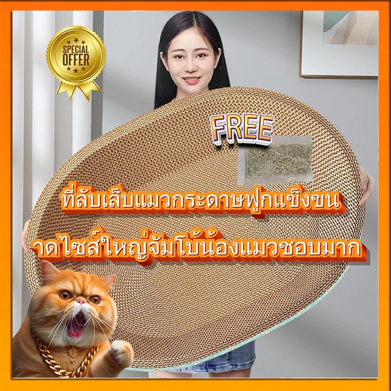 อ่างลับเล็บแมว ทรงวงรี ที่ลับเล็บแมว คุณภาพดี ที่ลับเล็บแม 2in1 กระดาษลับเล็บวงรี ที่ลับเล็บแมว รูปอ่าง ที่ฝนเล็บแมว