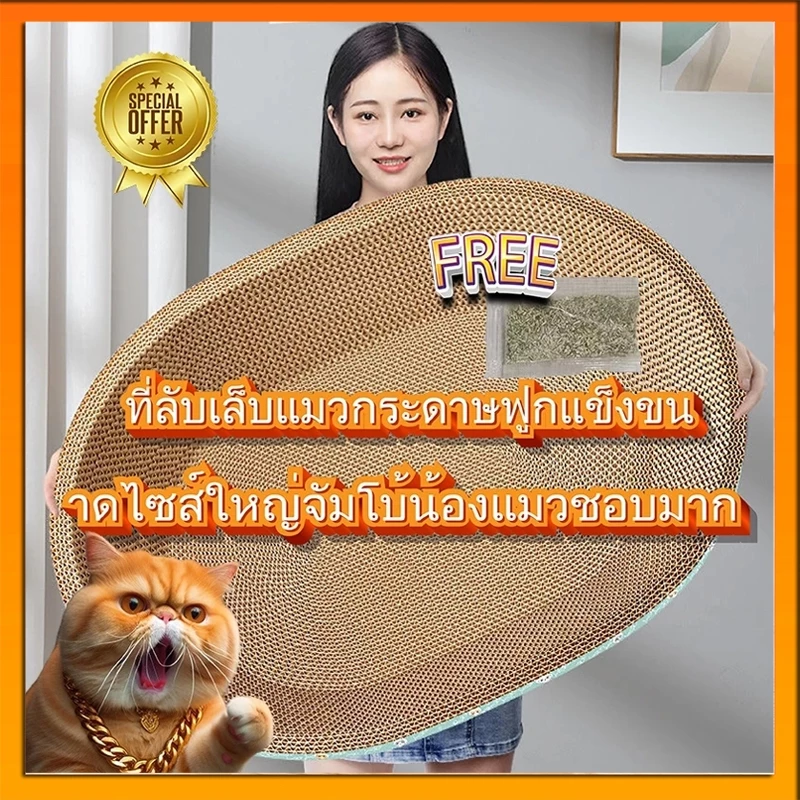 อ่างลับเล็บแมว ทรงวงรี ที่ลับเล็บแมว คุณภาพดี ที่ลับเล็บแม 2in1 กระดาษลับเล็บวงรี ที่ลับเล็บแมว รูปอ่าง ที่ฝนเล็บแมว