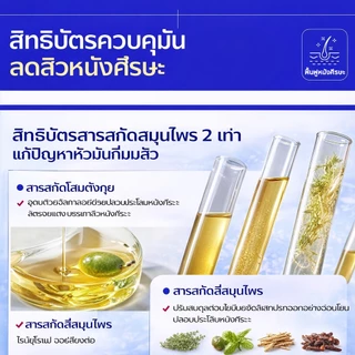 EHD แชมพูสมุนไพร ควบคุมความมัน ลดสิวหนังศีรษะ Scalp Care Shampoo ใช้ได้ทุกวัน 500ml.