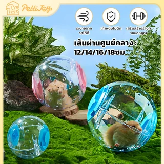 ลูกบอลวิ่งหนูแฮมเตอร์ ของเล่นแฮมสเตอร์ไม่ติดเท้าหนูแฮมสเตอร์เล่นของเล่นต่อต้านอาการซึมเศร้า
