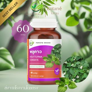 ผงพลูคาว 60 แคปซูล/กระปุก Houttuynia cordata Thunb