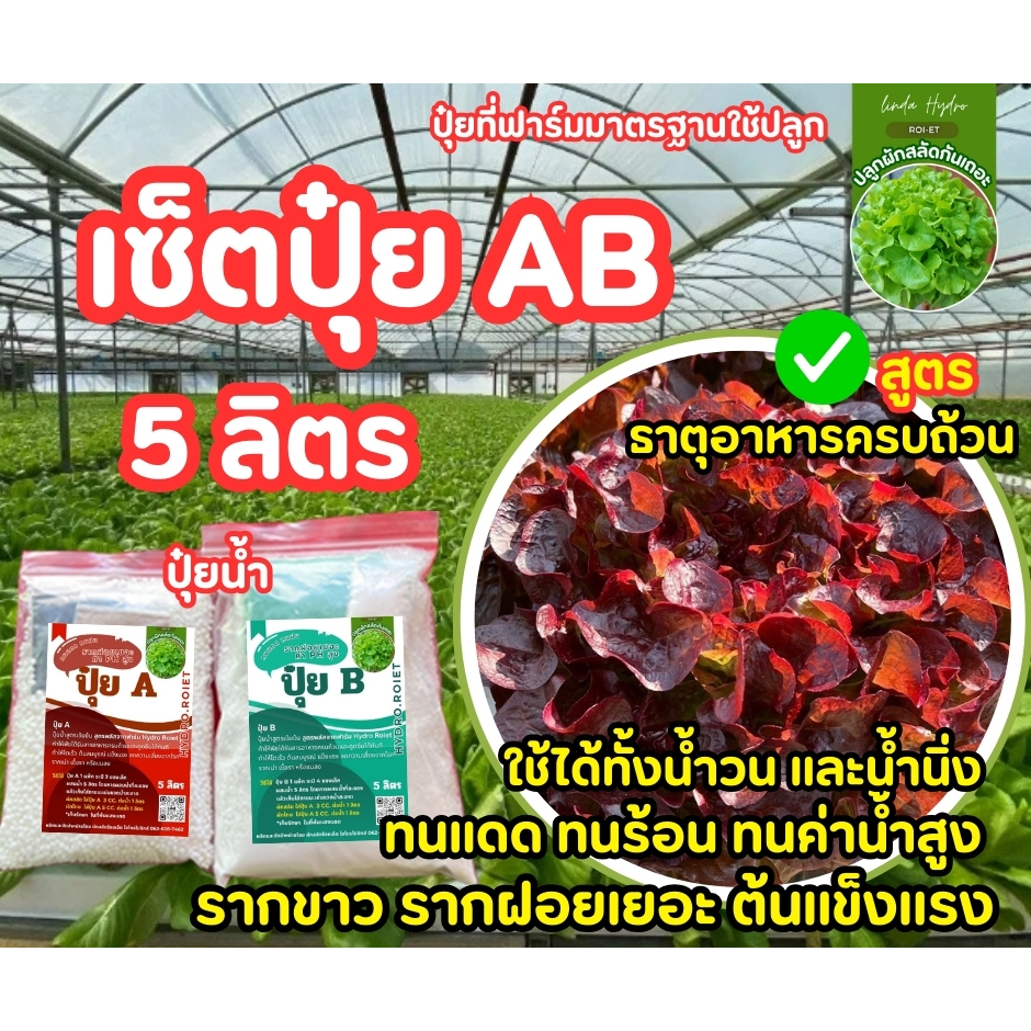 โปรวันนี้!! (ขายดี) แม่ปุ๋ย AB อย่างละ 5 ลิตร ผักไฮโดรโปนิกส์ l ปลูกง่าย โตไว ถู๊กมาก คุณภาพดีที่สุด 100%
