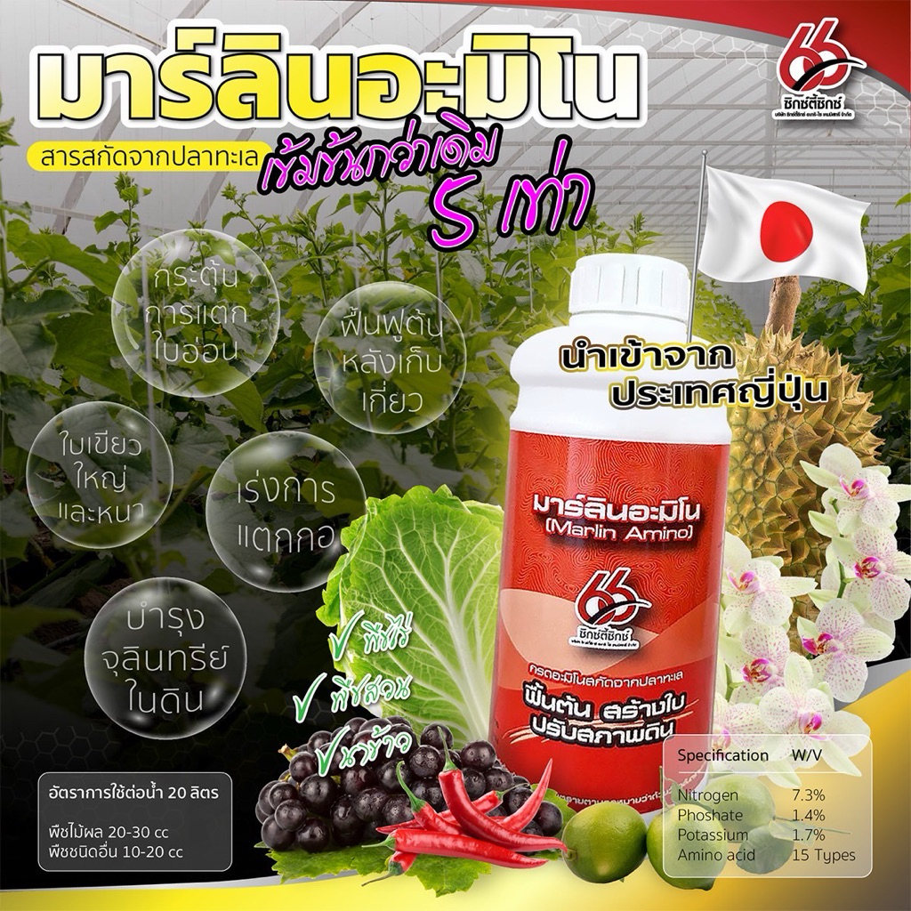 มาร์ลินอะมิโน สารสกัดจากปลาทะเล สูตรเข้มข้นพิเศษ ตราซิกซ์ตี้ซิกซ์✔️กระตุ้นการแตกใบอ่อน✔️ฟื้นฟูต้น
