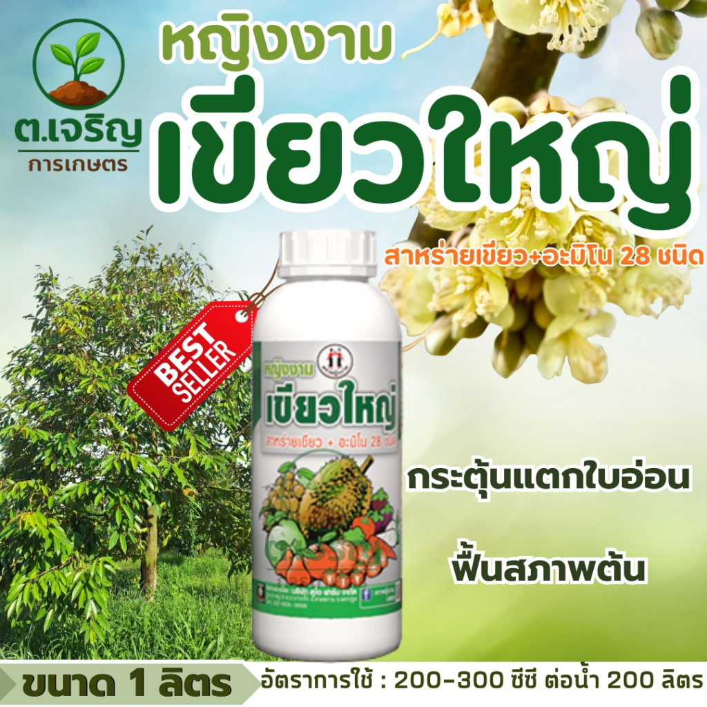 หญิงงาม เขียวใหญ่ (ขนาด 1 ลิตร) สาหร่าย+อมิโน28ชนิด ช่วยให้ใบเขียวเข้มใบใหญ่ กระตุ้นแตกใบอ่อน ช่วยฟื้นสภาพต้น