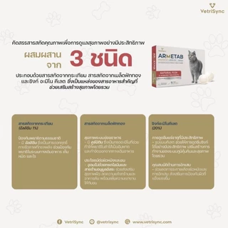 ARMETAB ZINC+ FOR CAT อาร์มีแท็บ ซิงค์ พละส