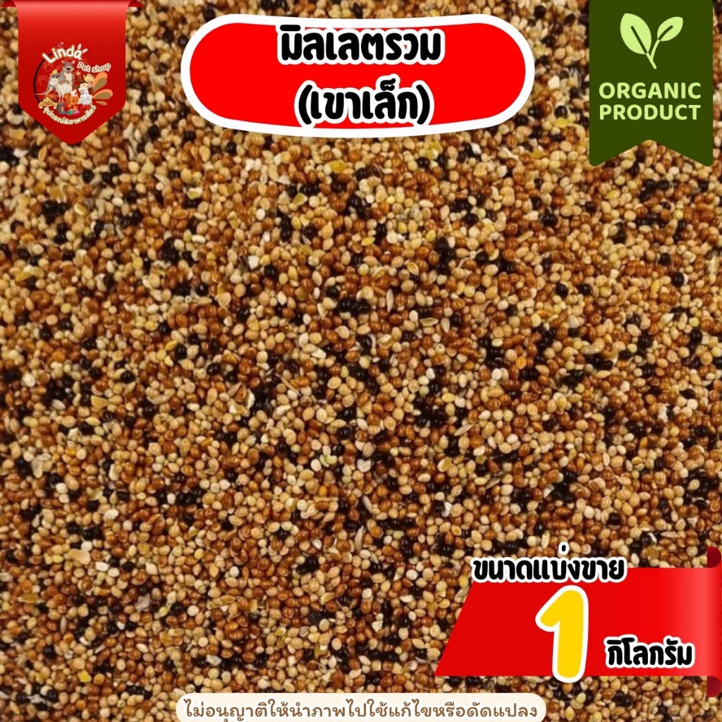 ธัญพืช Seed มิลเลตรวม (เขาเล็ก) สำหรับ นกทุกสายพันธุ์ หนูแฮมเตอร์ กระรอก และสัตว์ฟันเทะ (แบ่งขาย1กิโลกรัม)