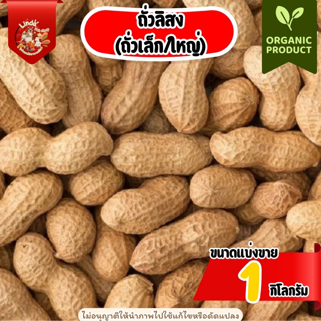 ธัญพืช Seed ถั่วลิสง (ถั่วไทย/นอก)สำหรับ นกทุกสายพันธุ์ หนูแฮมเตอร์ กระรอก และสัตว์ฟันเเทะ (แบ่งขาย1กิโลกรัม)
