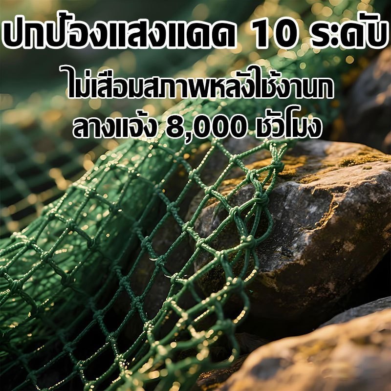 ใช้ได้ 10 ปี ตาข่ายกันนก 2*100ม อวนล้อมไก่ แน่น ทนต่อแรงดึง ทนแดด หนาขึ้น ตาข่ายล้อมไก่ ตาข่ายกันนก อวนเขียว - รูปที่ 4
