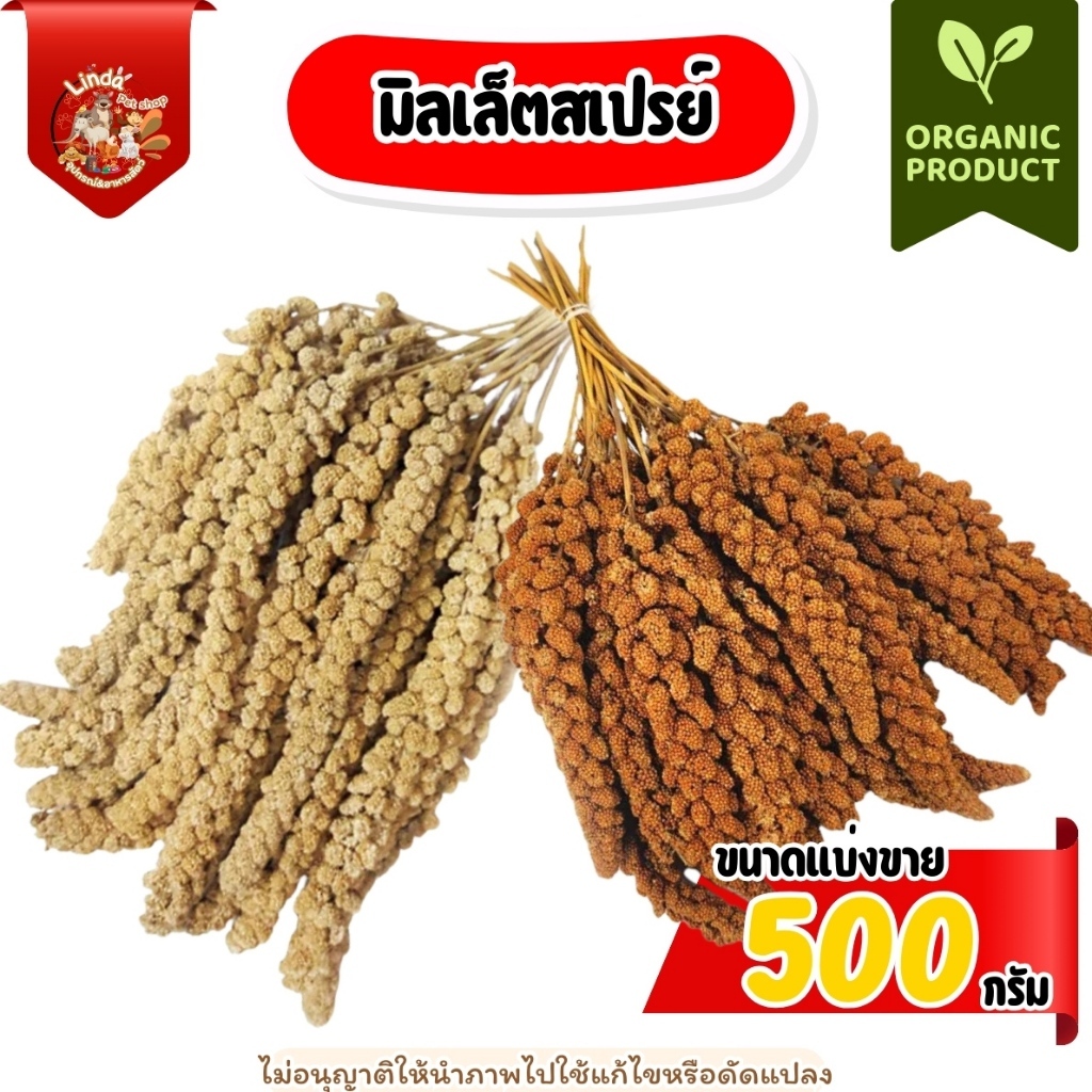 มิลเล็ตธัญพืช สเปรย์(แดง/เหลือง) สำหรับ นกทุกสายพันธุ์ หนูแฮมเตอร์ กระรอก และสัตว์ฟันเทะ (แบ่งขาย500กรัม/1กิโลกรัม)