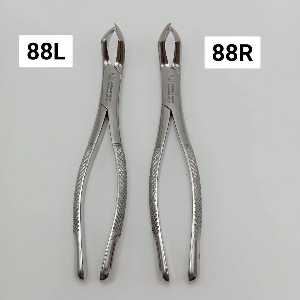 คีม 88R / 88L คีมถอนฟัน