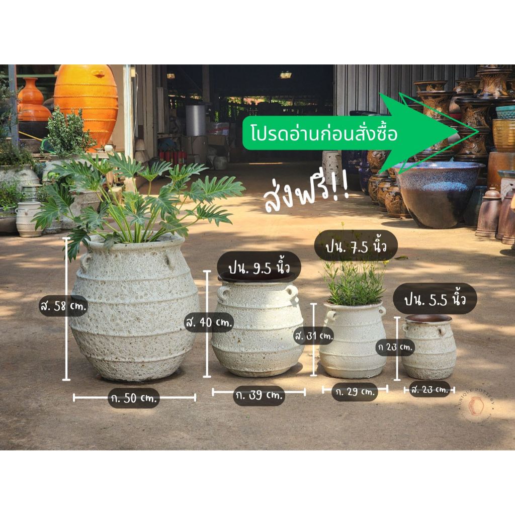 กระถางต้นไม้ทรงหม้อ A 11 ผิวแอตเเลนติส 4 ไซส์ จัดส่งในไทย
