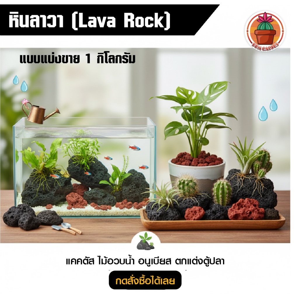 LAVA ROCK หินภูเขาไฟลาวา ลาวาดำ ลาวาแดง ใช้โรยหน้า ผสมดิน งานตู้ปลา บรรจุ 1 kg