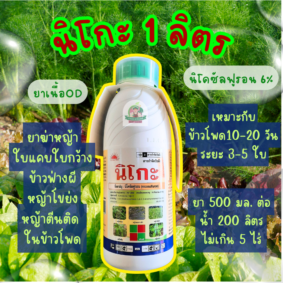 นิโกะ 1 ลิตร นิโคซัลฟูรอน พระอาทิตย์ ทีเจซี ยาฆ่าหญ้า ใบแคบ ใบกว้าง ในไร่ข้าวโพด