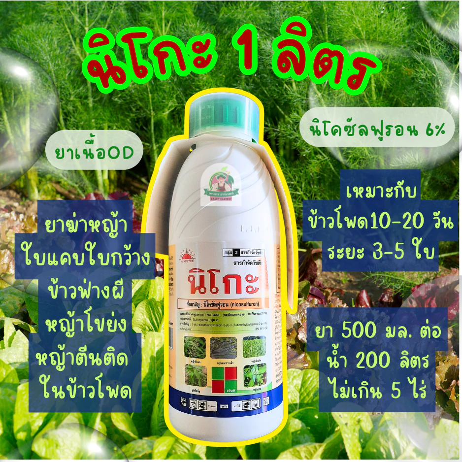 นิโกะ 1 ลิตร นิโคซัลฟูรอน พระอาทิตย์ ทีเจซี ยาฆ่าหญ้า ใบแคบ ใบกว้าง ในไร่ข้าวโพด
