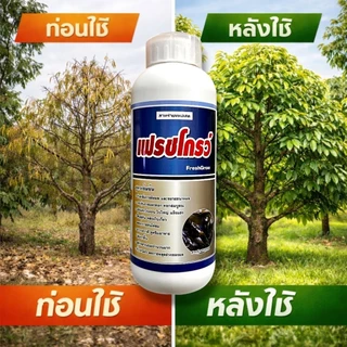 เฟรชโกรว์ สาหร่ายทะเลผสมกรดอะมิโน อาหารเสริมพืชสูตรเข้มข้น (ขนาด 500 ซีซี / 1 ลิตร) ช่วยเปิดตาดอก ฟื้นต้นโทรม บำรุงผลดก⁠