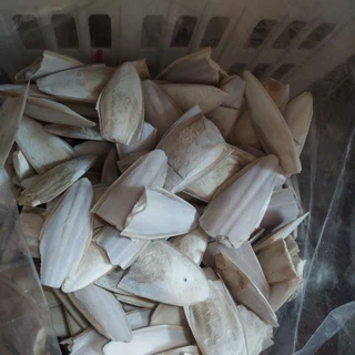 กระดองปลาหมึก ลิ้นทะเล 100กรัม