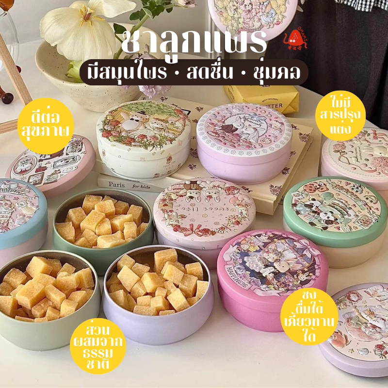 ชาลูกแพร Pear tea ในกระปุกสวย ชาก้อนออแกนิค สมุนไพร (1กล่อง/75g.) ดีต่อสุขภาพ ผลไม้แห้ง กลิ่นหอม ลูกแพรหิมะ