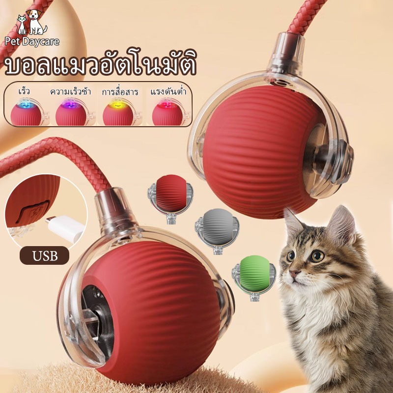 😽บอลแมวอัตโนมัติ ของเล่นแมวอัจฉริยะ ลูกบอลแมวอัติโนมัติ หมุนได้ 360° เรืองแสง USB ชาร์จ สําหรับฝึกสุนัข แมว ของใช้แมว