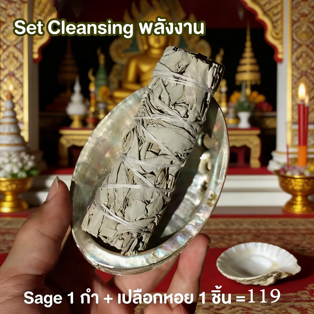 ล้างพลังงานลบ ไพ่ยิปซี หิน จักระออร่า White sage ขนาด 4 นิ้ว ชุดเซจ
