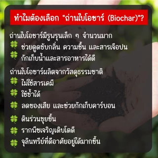 ถ่านไบโอชาร์ เพิ่มรูพรุนในดิน ทำให้ดินโปร่ง ระบายน้ำ และอากาศดีขึ้น ถ่านหุงต้ม ถ่านปิ้งย่าง