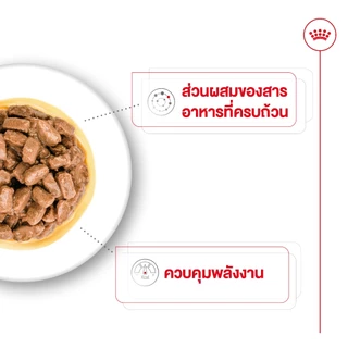 อาหารเปียกสุนัขสูงวัย พันธุ์เล็ก MINI AGEING GRAVY1กล่อง(12ซอง)เพ้าหมาแก่