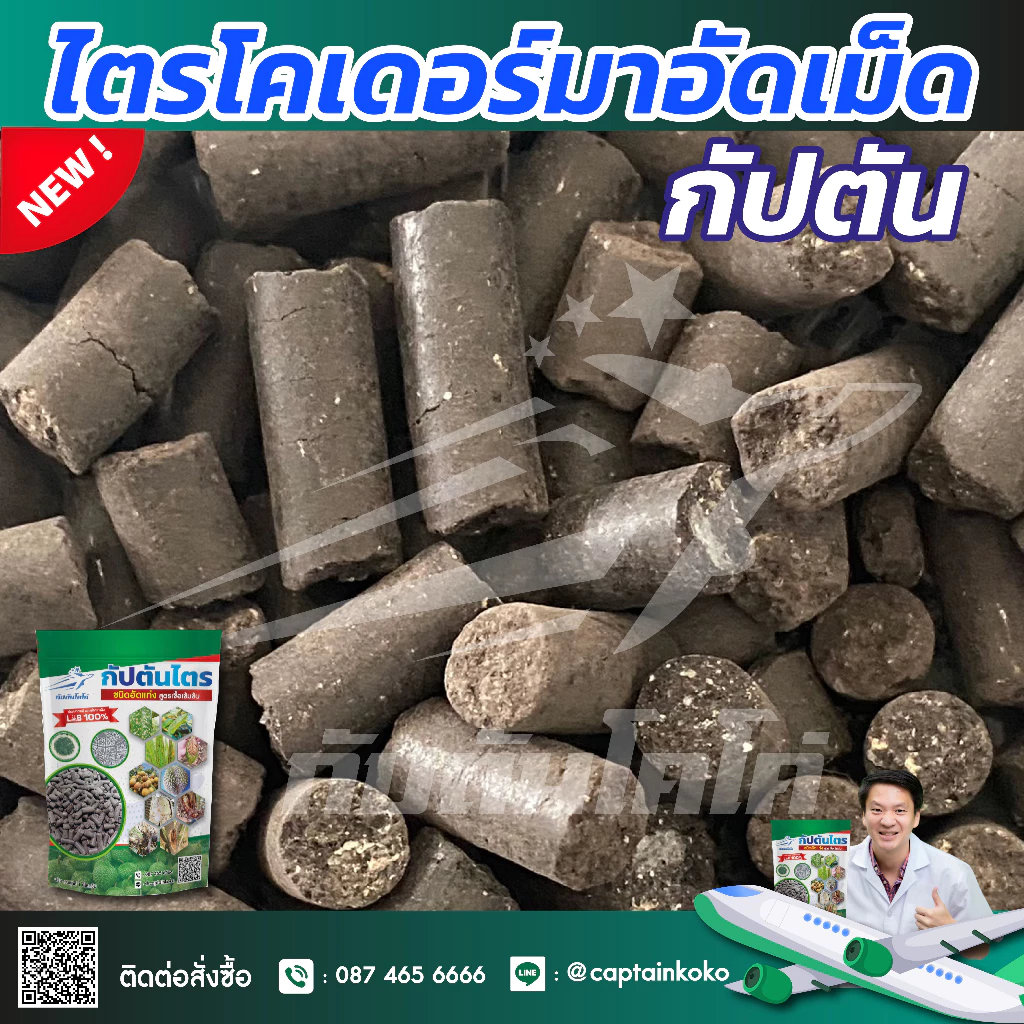 ไตรโคเดอร์มาอัดเม็ด กัปตันไตร สายพันธุ์คู่ สูตรเข้มข้น ขนาด 1 กิโลกรัม thumbnail 3