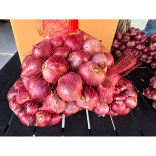 หอมแดงตัดหัว  1  กก. (หอมแดง อ.ยางชุมน้อย จ.ศรีสะเกษ)