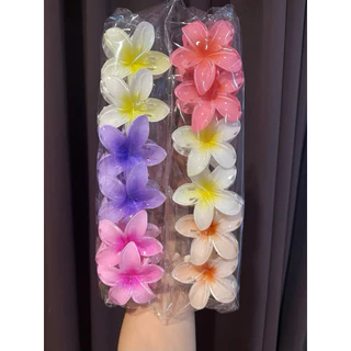 กิ๊บหนีบผมด้านหลัง กิ๊ฟแบบงับ สีพื้น /สีใส 12ชิ้น สินค้าพร้อมส่ง