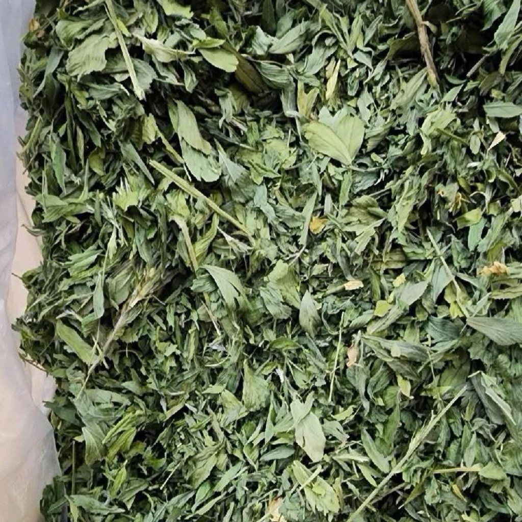 หญ้าอัลฟาฟ่าใบล้วน 1kg สำหรับสัตว์ฟันแทะ กระต่าย แกสบี้ ชินชิลา และสัตว์กินพืช