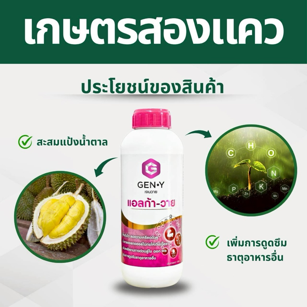 แอลก้า-วาย : น้ำตาลแอลกอฮอล์(ทางด่วน)ที่ไม่ก่อให้เกิดเชื้อรา เพิ่มพลังงานด่วน ดูดซึมเร็ว พืชใช้ได้ทันที   ขนาด1ลิตร ราคา ถูกที่สุด ดีลบีเคเค แกลเลอรีภาพที่ 4