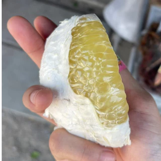 [พร้อมส่ง SETรสจัดจุใจ] ส้มโอ ผิวไม่สวย ขรุขระ ขาวใหญ่ ขาวน้ำผึ้ง ทองดี รสเข้ม รับประกันเนื้อ 7-9/ลูก ขีด