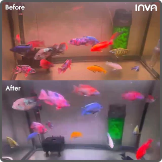 INVATech - Purifier ตัวดูดน้ำเหลือง สีน้ำ กลิ่น ของเสีย เข้มกว่าคาร์บอน ใช้ซ้ำได้ (50-250g)