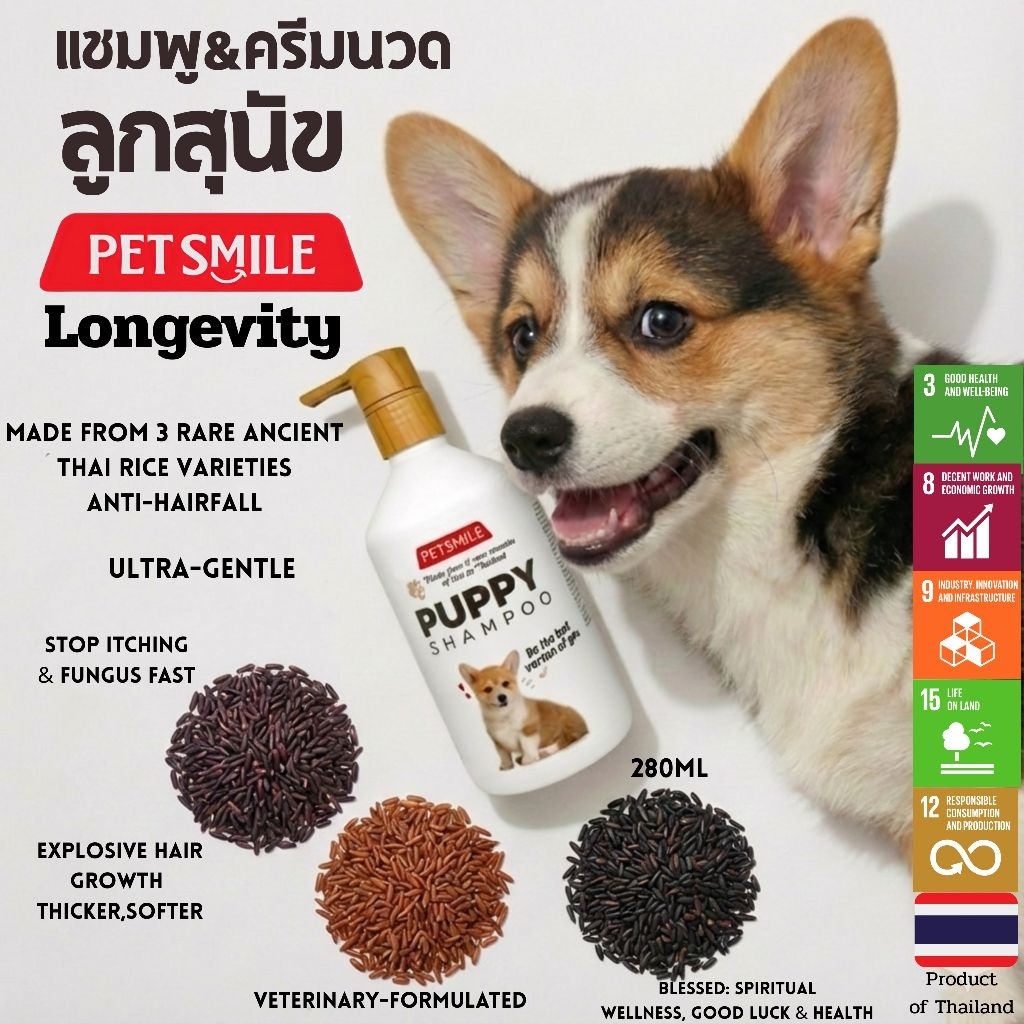 Petsmile Coconut Oil Shampoo & Conditioner 280ml (แชมพูน้ำมันมะพร้าว สำหรับลูกสุนัข)